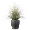 Grass 02